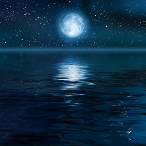 中国一级特黄麻豆
